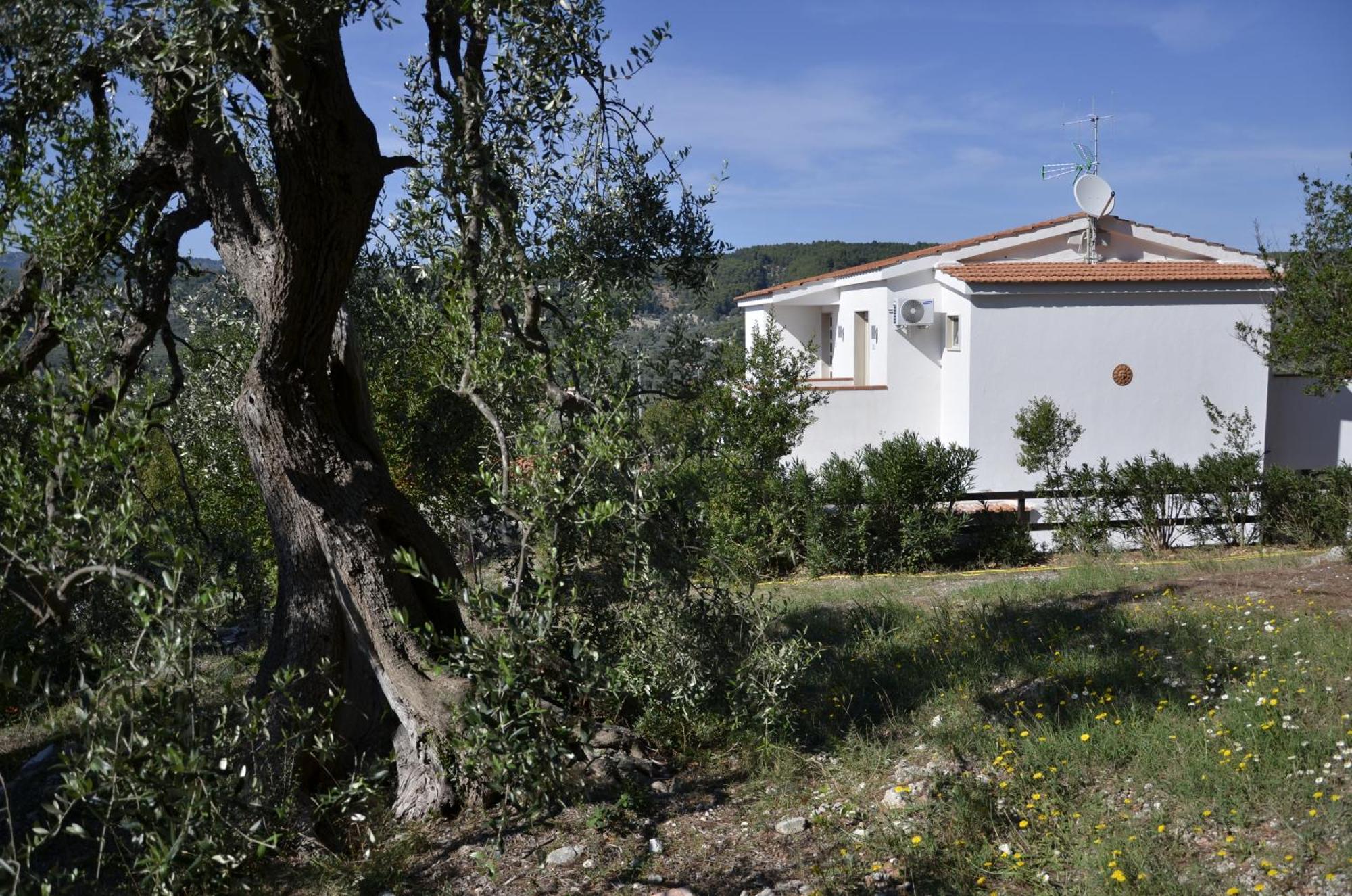 B&B White House Peschici Exterior foto
